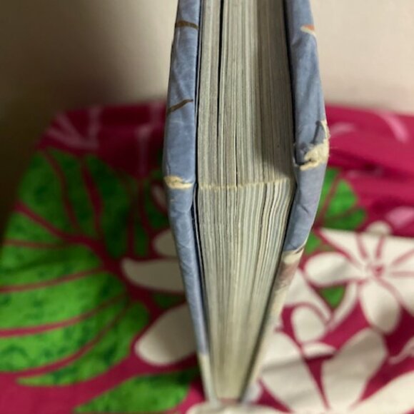 FROZEN LOT DISNEY 5 MINUTE FROZEN STORIES ANNA ELSA OLAF FLASH LOTION KEY NEWTAG - Picture 12 of 14